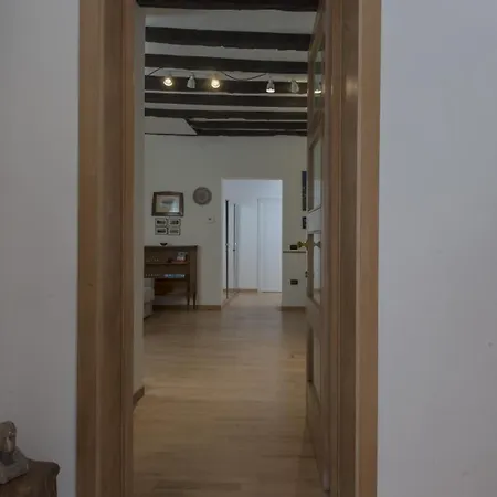 Vivi Venice